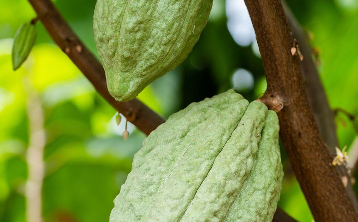 Shared responsibility - Nessentis